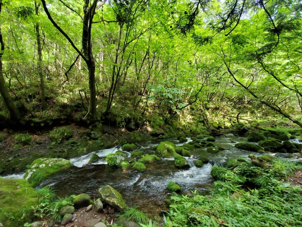 世界の美しい景色に日本で唯一登録された 元滝伏流水 