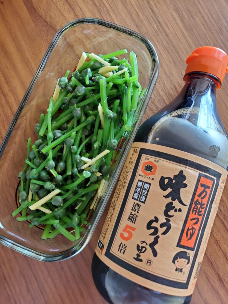 秋田に来るまで知らなかった 山菜 。私ランキングベスト3を発表します