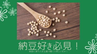 納豆 好き必見！秋田に来たらお土産で買ってほしい、おすすめ納豆商品！