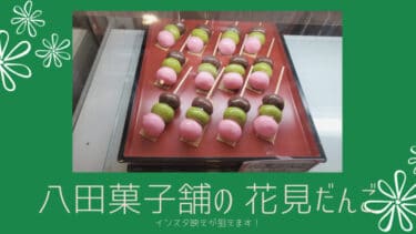 八田菓子舗の「 花見だんご 」お花見のお供＆インスタ映え狙いにおすすめです！
