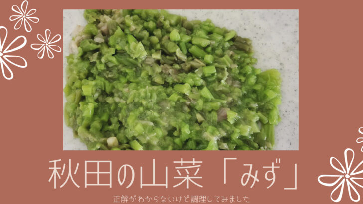 秋田の山菜 みず をもらったので 正解がわからないけど調理してみました Tohoku Life