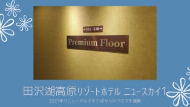 田沢湖高原リゾートホテル ニュースカイ 。2021年リニューアルされたばかりのフロアを満喫