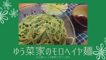 秋田市の農家レストラン「 ゆう菜家 」のモロヘイヤ麺！お土産としても販売されています。