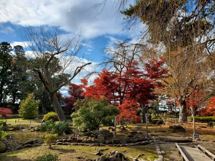 国指定名勝「 旧池田氏庭園 」紅葉がとても綺麗な、和と洋が混ざったところです