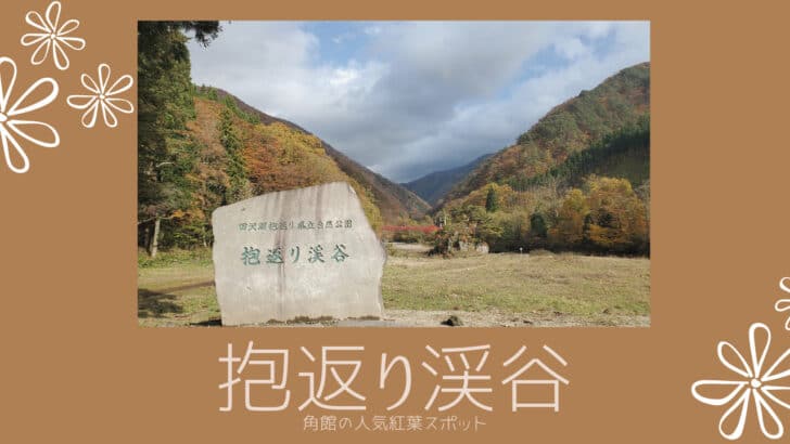 秋田の人気紅葉スポット 抱返り渓谷 散歩がてら 遊歩道を歩くことができます Tohoku Life
