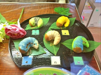 秋田で 幼虫チョコ を買えるお店・・・横手市にある老舗洋菓子店「小松屋本店」
